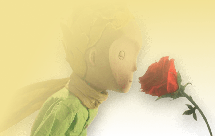 The Little Prince and a rose